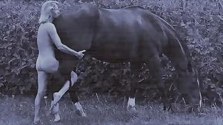 151 horse porn videos